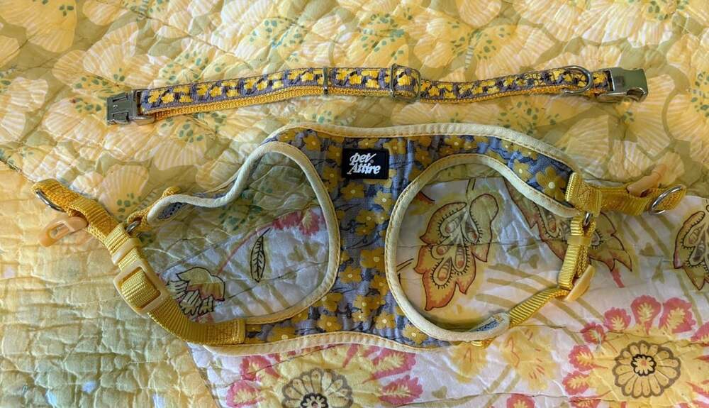 Fair condition, Pet Attire Yellow Floral Step-in Dog Harness & Collar Set, XS